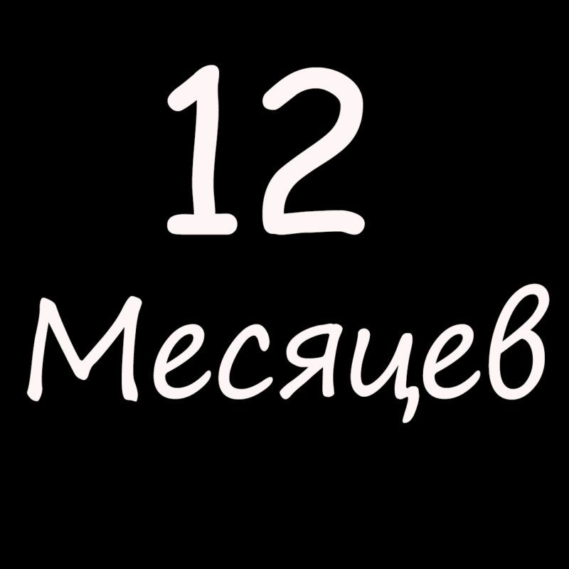 12 Месяцев