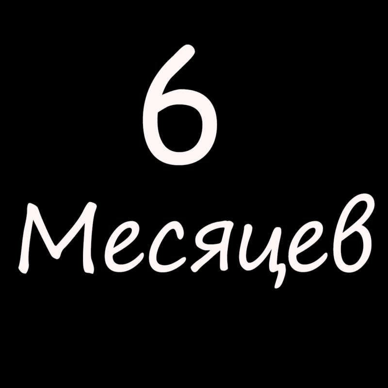 6 Месяцев